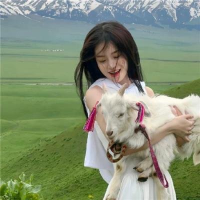 灵犀一点通
