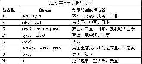 澳门一肖一码一必中一肖同舟前进_AI解释落实_282.WE13