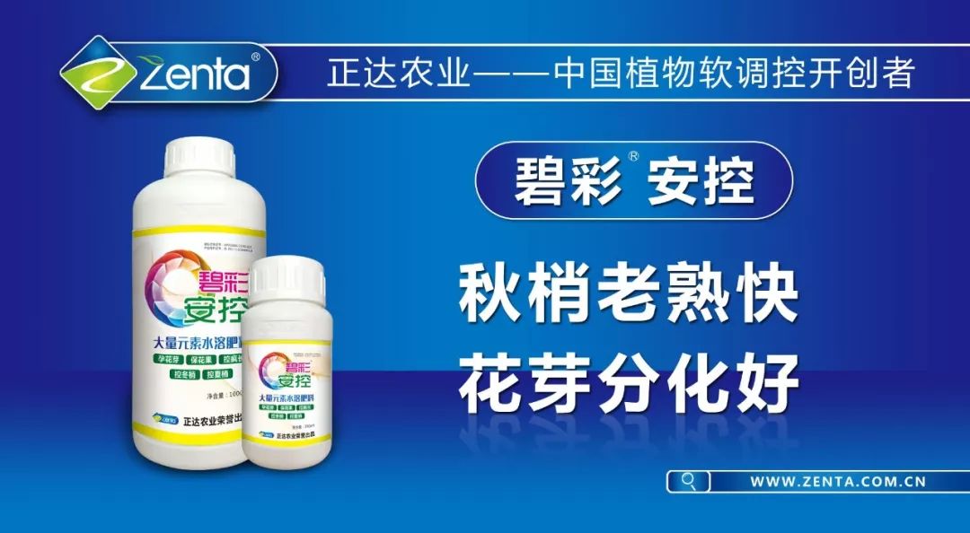 新澳门今晚开特马开奖_精选AI解释落实_609.DHA.25