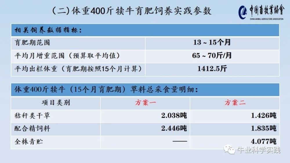 2024新奥天天免费资料_参考分析版AI解释落实_498.WIN.54