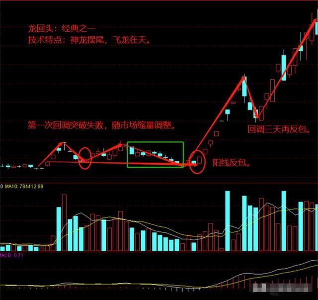 曾道正版资料免费大全2024_精选解释落实将深度解析_3DM82.61.61