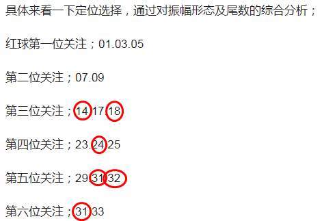 澳门本期开奖结果_精选解释落实将深度解析_V82.51.11