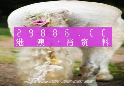 澳门六开彩开奖结果资料查询下载,新澳管家婆一句话,3网通用：安卓版422.125_最新答案解释落实_网页版v676.969