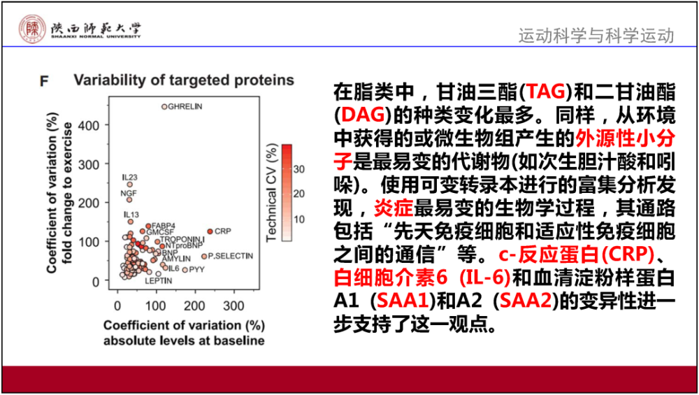 2024新澳正版免费资料大全_精选解释落实将深度解析_GM版v61.88.97