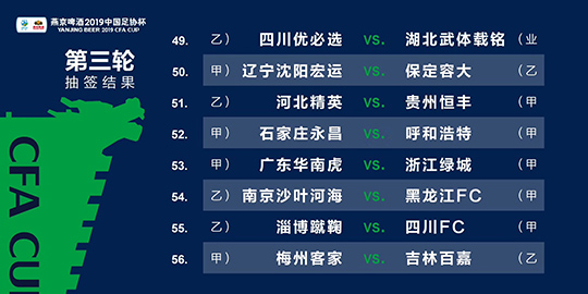 新澳精准资料免费提供219期,揭秘提升2023一码一肖,100%精准,3网通用：安卓版301.268_详细解答解释落实_V02.43.78