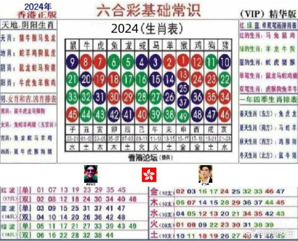 曾道正版资料免费大全2024,天空彩与你同行开奖报码,移动＼电信＼联通 通用版：手机版531.711_最新答案解释落实_V25.79.64