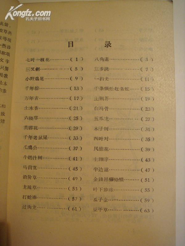 正版资料免费资料大全更新时间_作答解释落实的民间信仰_手机版280.869