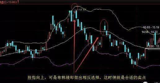 最准一肖100%中一奖_精选解释落实将深度解析_手机版532.828