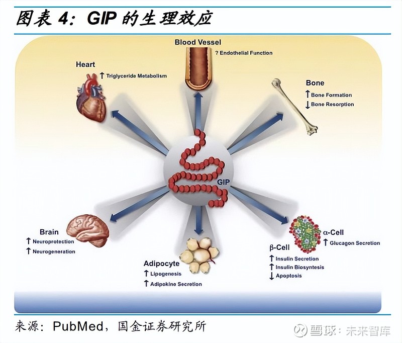 追问｜GLP-1掀起肥胖革命，减肥药的下半场在哪儿？