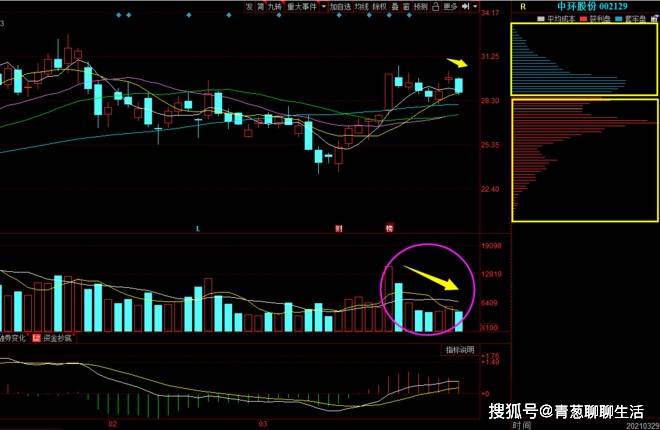 三肖三期必出特马_精选作答解释落实_3DM56.82.15