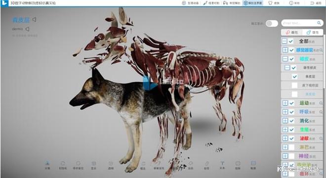 四不像特马图今晚必出_详细解答解释落实_手机版998.062