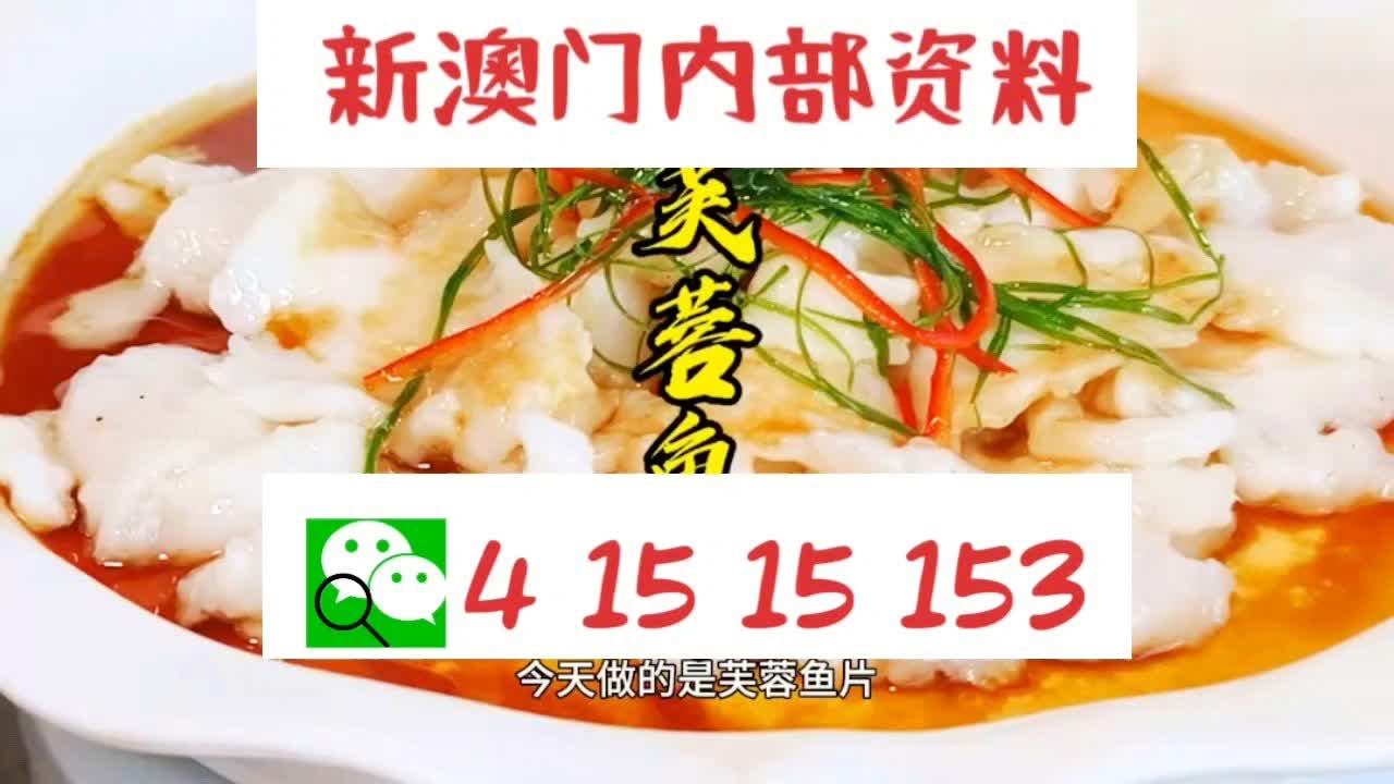 新澳门2024年资料大全管家婆_良心企业，值得支持_GM版v54.58.36